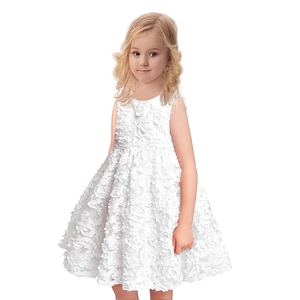Popular Net Gauze Solid Color Three-Dimensional Embroidery Bouffant Girl Dress