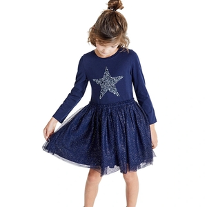 Spring Autumn Is New in Small Child Embroidery Lace Child Dress Lovely Princess Skirt